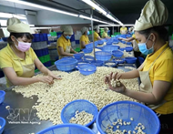 Viet Nam’s exports to New Zealand post strong growth